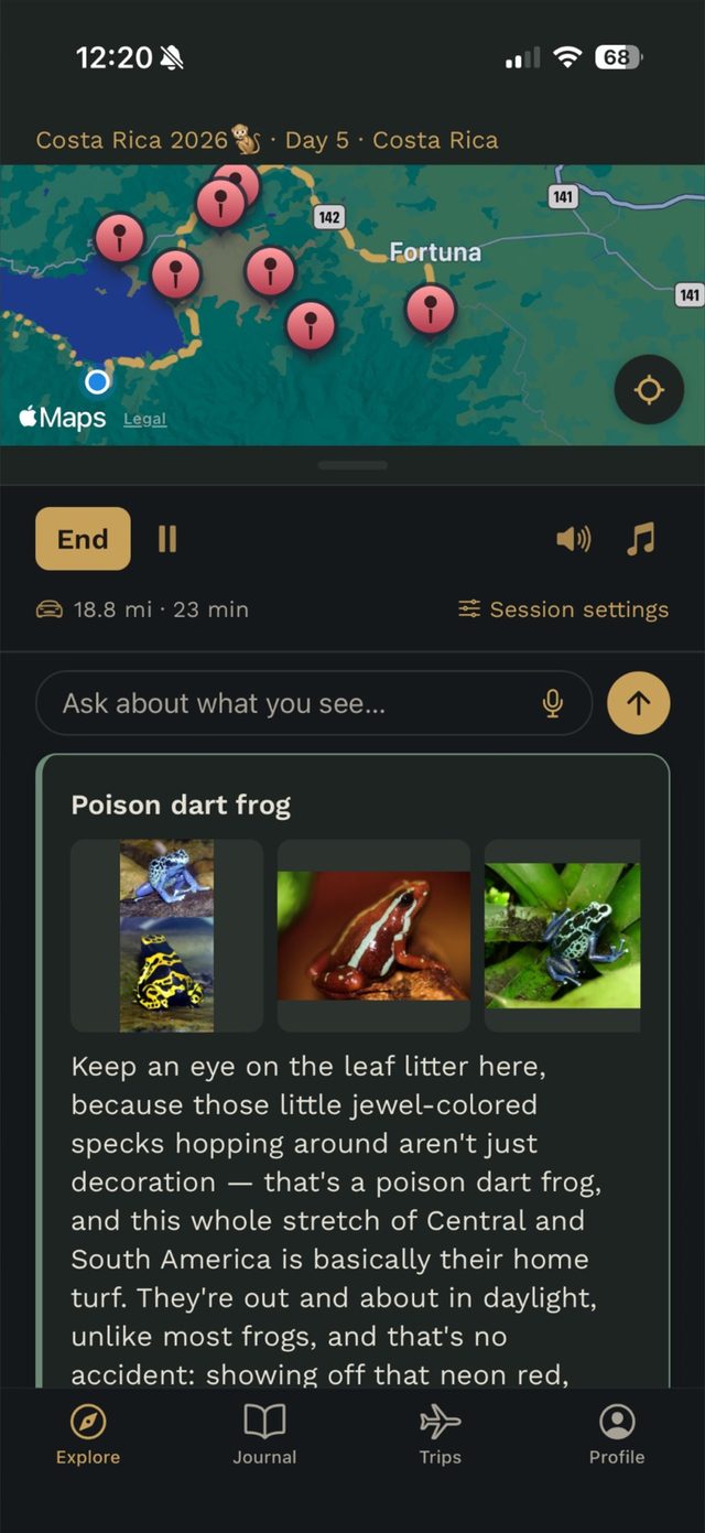 A drive in Costa Rica with a story about poison dart frogs